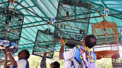 Potensi Budaya Dan Tradisi Lokal